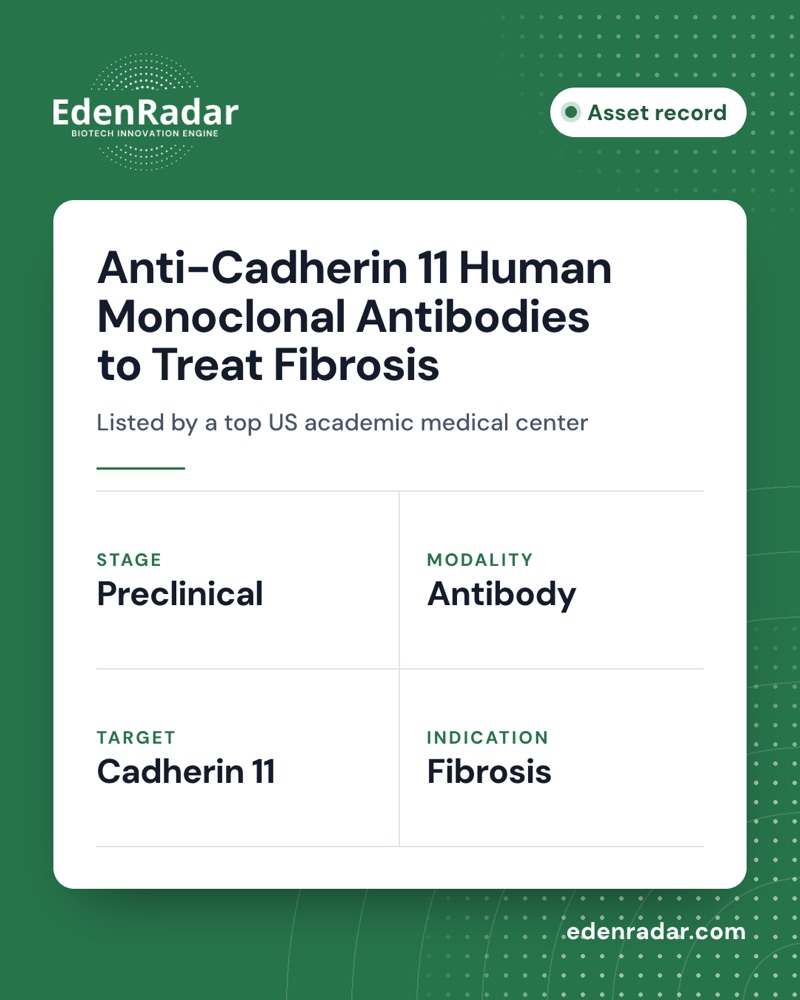 Four real records from EdenRadar, the first card